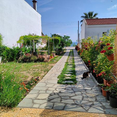 شقة Annas House بساكوذيا المظهر الخارجي الصورة